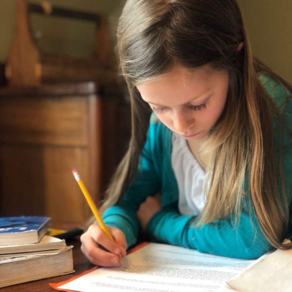 homeschool spelling curriculum
