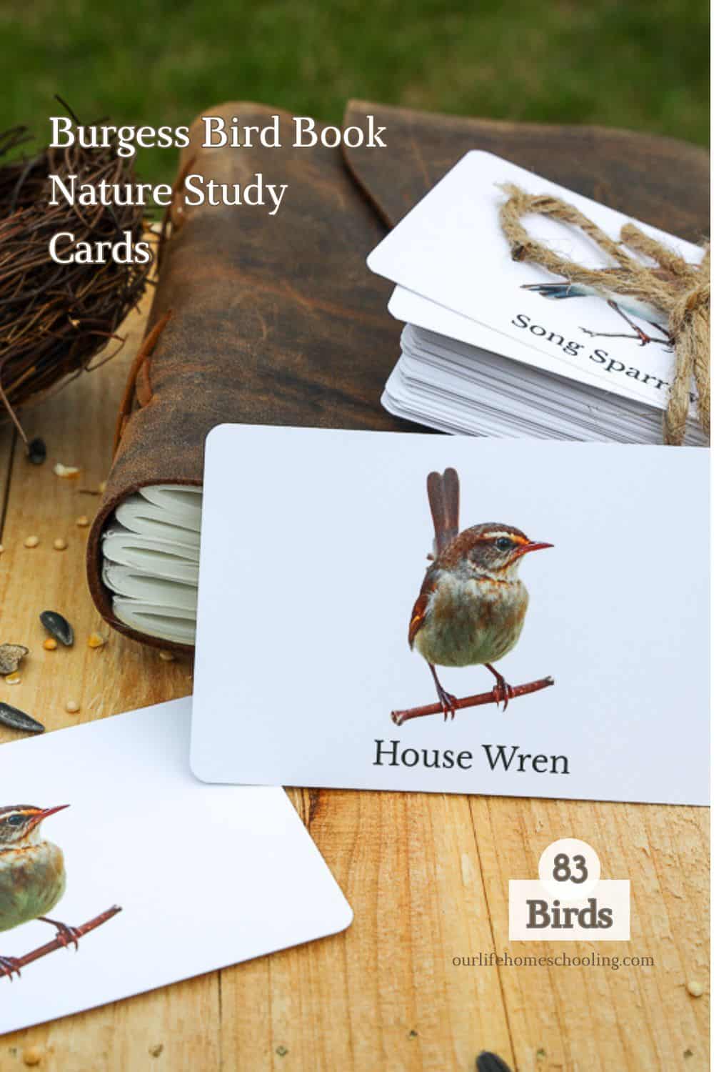 Burgess Bird Book Homeschool Nature Study Cards
