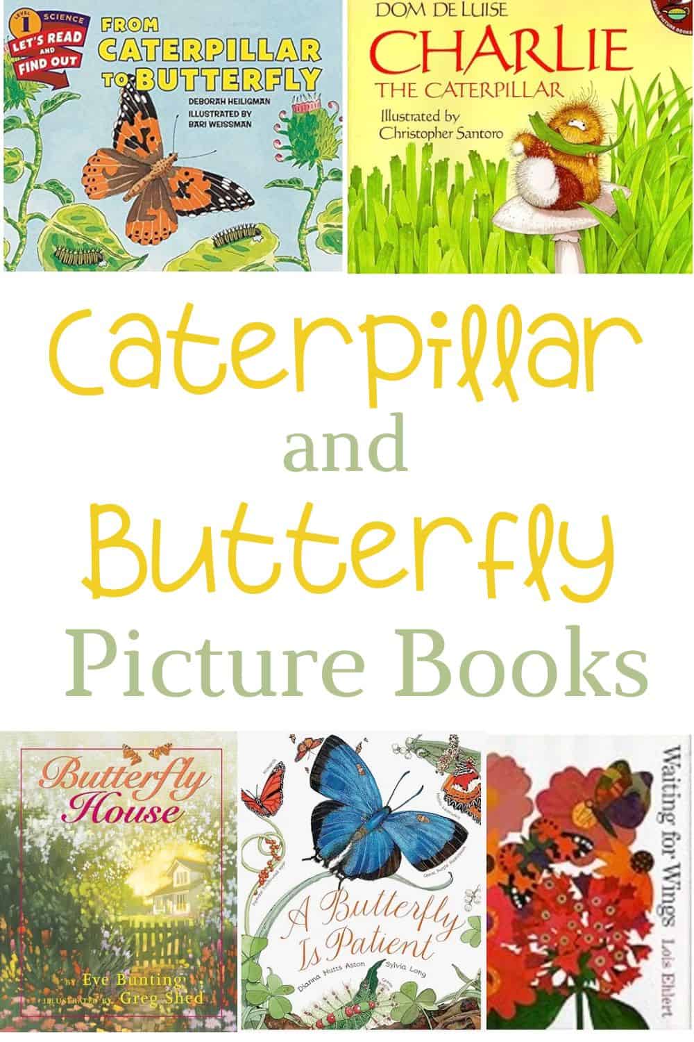 Caterpillar and Butterfly Picture Books for Kids